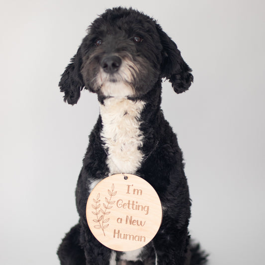 Pregnancy Announcement Photo Props for Siblings & Pets